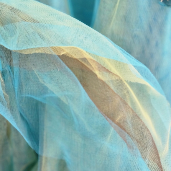 Elegant Teal Gown with Peacock Embellishments - Picture 4 of 4